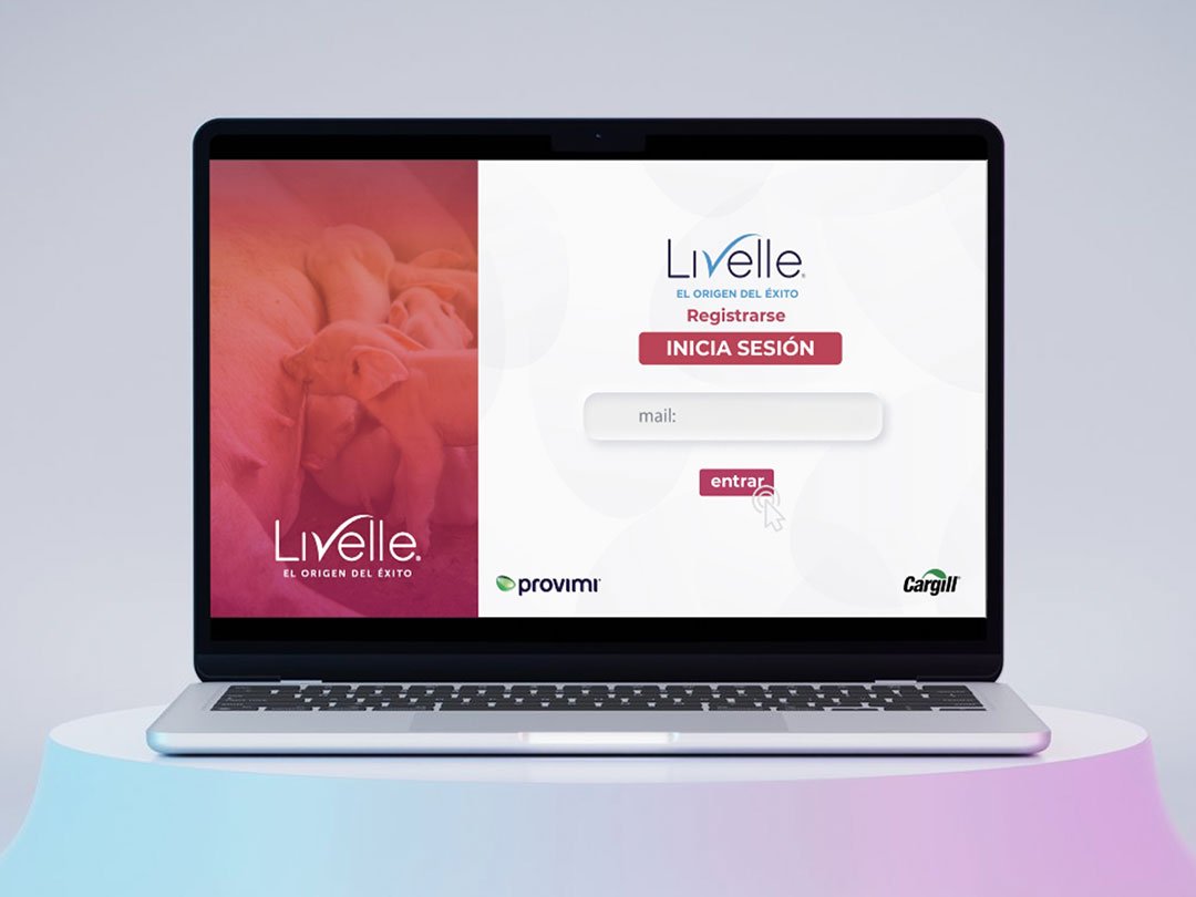 Produccion-digital-Somos-Ants-2