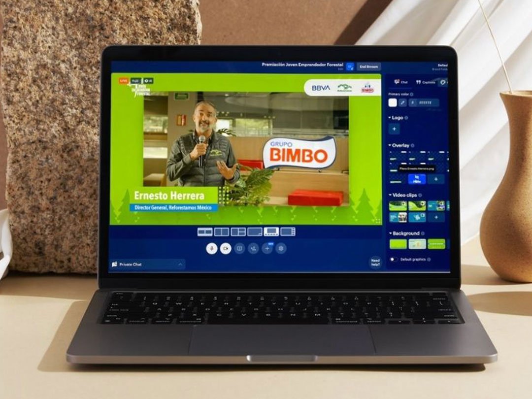 Produccion-digital-Somos-Ants-5